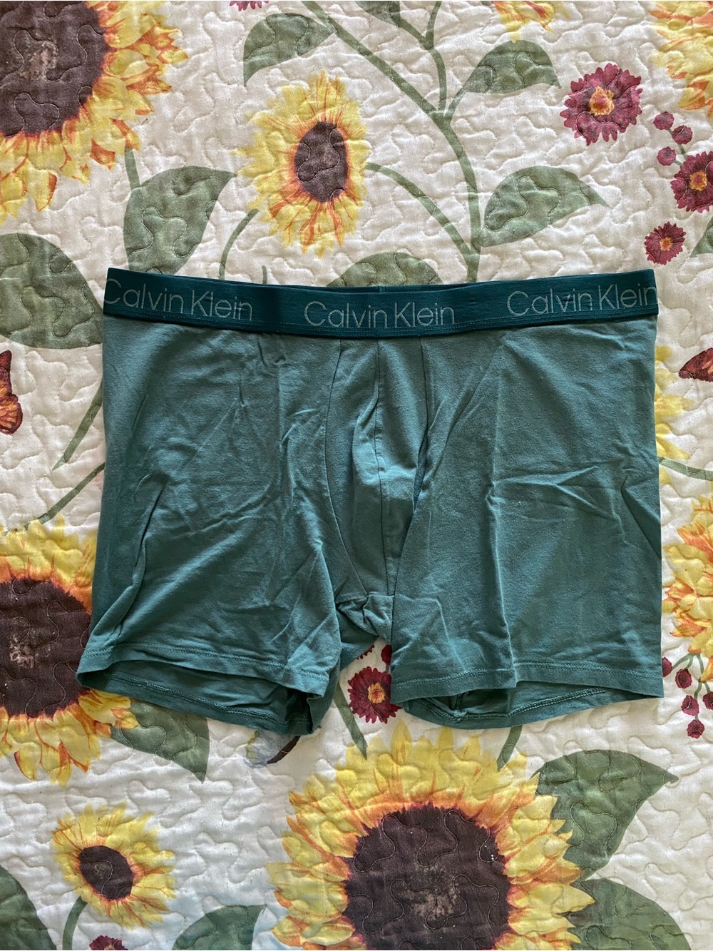 Calvin Klein Green Boxer Briefs with Logo Waistband
